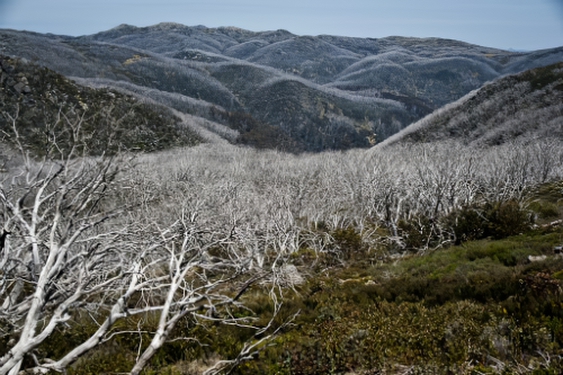 Falls Creek HillsPaul Temple